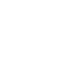 Plug